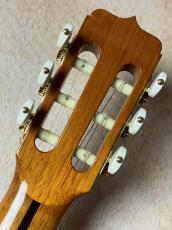 Jose Ramirez 【ふくよかな箱鳴り】 Sencilla 140 Anos Clasica Spruce【送料当社負担・最大48回無金利】_6
