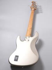 Bacchus WJB5-1MS-DX-AC RSM/M-MDG-【4.62kg】【新製品】_7