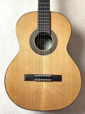 Orpheus Valley Guitars 【値上がり前ラストチャンス!!】Fiesta F63C【送料当社負担・最大48回無金利】