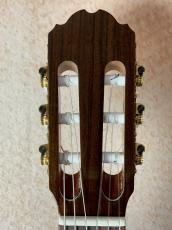 Orpheus Valley Guitars 【値上がり前ラストチャンス!!】Fiesta F65S 松×ローズウッド【送料当社負担・最大48回無金利】_5