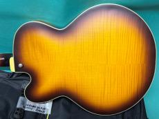 Ibanez AFV105-RAF_3