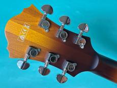Ibanez AFV105-RAF_6