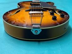 Ibanez AFV105-RAF_10