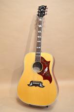 Gibson DOVE　2010年製_4