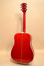 Gibson DOVE　2010年製_8