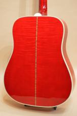 Gibson DOVE　2010年製_9