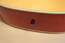 Gibson DOVE　2010年製_14