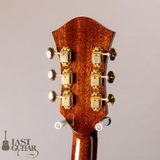 Rozeo Ladybug Mahogany-C/Brown_6