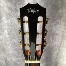 Taylor 412ce 12-Fret LTD_2