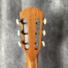 Taylor 412ce 12-Fret LTD_6