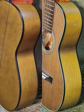 K.Yairi RAG-75V Custom (Moss Green) -2020USED!!-【金利0%対象】_4
