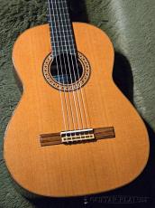 Antonio Sanchez [アントニオ・サンチェス] Professor-4 Cedar/Rosewood / 650mm -2017USED!!-【48回迄金利0%対象】