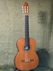 Antonio Sanchez [アントニオ・サンチェス] Professor-4 Cedar/Rosewood / 650mm -2017USED!!-【48回迄金利0%対象】_5