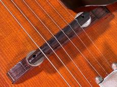 Epiphone TRIUMPH_10