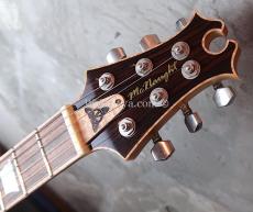 David Thomas McNaught Vintage Single Cut Light Tigers Eye Burst (Premium Diamond Flame)_3
