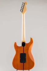 H.S.Anderson HS-2 / Golden Brown S/N:25028_7