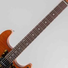 H.S.Anderson HS-2 / Golden Brown S/N:25028_9