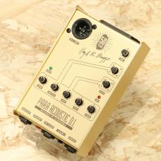 L.R.Baggs Gold Para DI