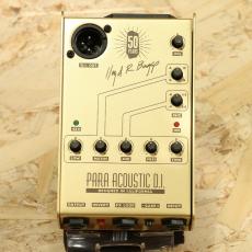 L.R.Baggs Gold Para DI_2