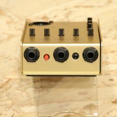 L.R.Baggs Gold Para DI_3