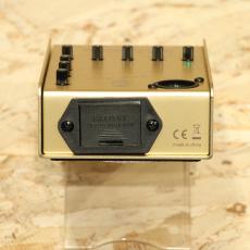 L.R.Baggs Gold Para DI_4