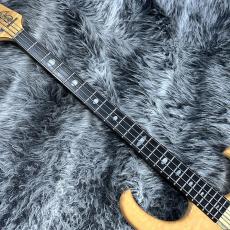 ALEMBIC Persuader PJ 1988_2