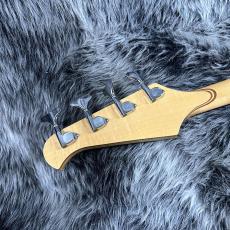 ALEMBIC Persuader PJ 1988_9