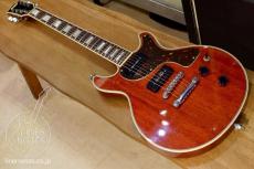 ESP Custom Order Les Paul DC Flat Top type (Mahogany)_3