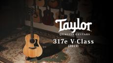 Taylor 317e V-Class 2019 【Taylor公認 リペアマン在籍店】