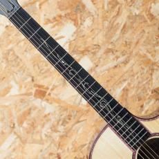 Taylor C14ce Aviator Grand Auditorium Custom_6