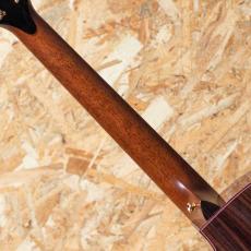 Taylor C14ce Aviator Grand Auditorium Custom_7