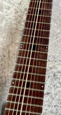 Chapman Stick The Stick_4