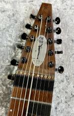Chapman Stick The Stick_5