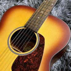 Morris F-1 2025 Renewed Series BS -Performers Edition-_4
