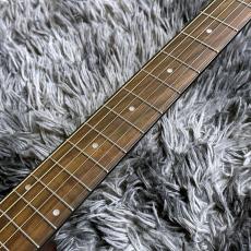 Morris F-1 2025 Renewed Series BS -Performers Edition-_5