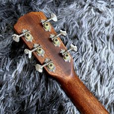 Morris F-1 2025 Renewed Series BS -Performers Edition-_7