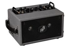 Phil Jones Bass Double Four Plus