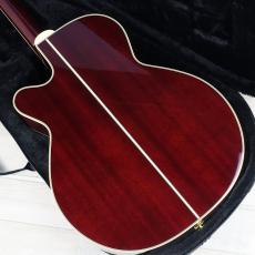 Takamine 【"ROCK!月"限定SALE!】DMP551C WR_3