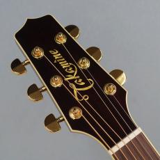 Takamine 【"ROCK!月"限定SALE!】DMP551C WR_5