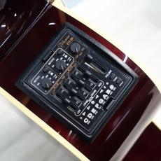 Takamine 【"ROCK!月"限定SALE!】DMP551C WR_7