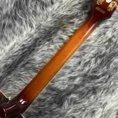 Epiphone Masterbilt Frontier Iced Tea Aged Gloss_8