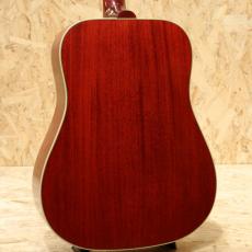 Epiphone Inspired by Gibson Hummingbird Standard CS_2
