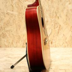 Epiphone Inspired by Gibson Hummingbird Standard CS_4