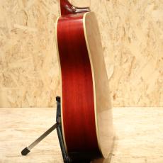 Epiphone Inspired by Gibson Hummingbird Standard CS_5
