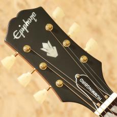 Epiphone Inspired by Gibson Hummingbird Standard CS_8