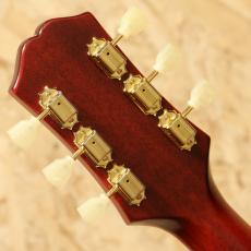 Epiphone Inspired by Gibson Hummingbird Standard CS_9