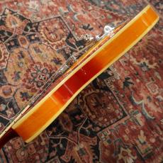 Sire Larry Carlton H7T CS_9