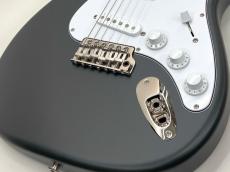 Paul Reed Smith [PRS] Silver Sky Rosewood -Faded Black Tee Satin- 2026 【ハイエンドフロア在庫品】【3.35Kg】_3