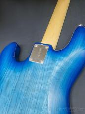 FUJIGEN NJB100MBAH -See Thru Blue Burst-【4.00kg】_8