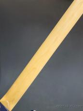 FUJIGEN NJB100MBAH -See Thru Blue Burst-【4.00kg】_9